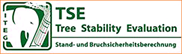 Logo_TSE